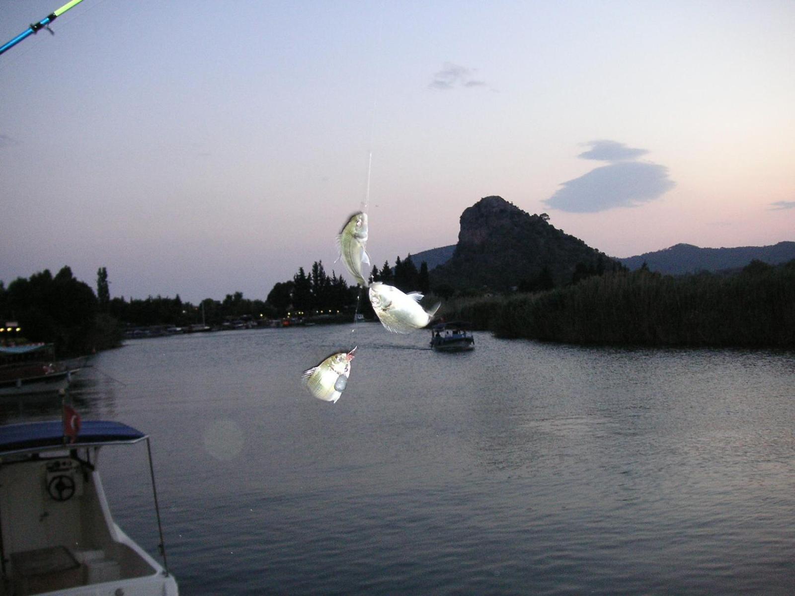 Maison d'hôtes Onder Pansiyon à Dalyan Extérieur photo